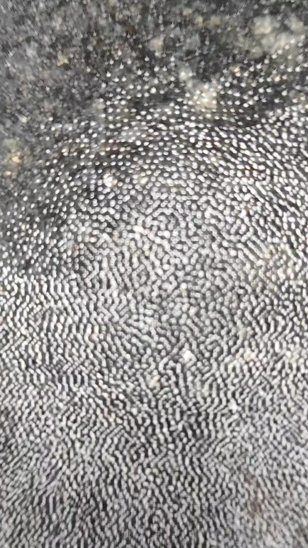@Graph Stone