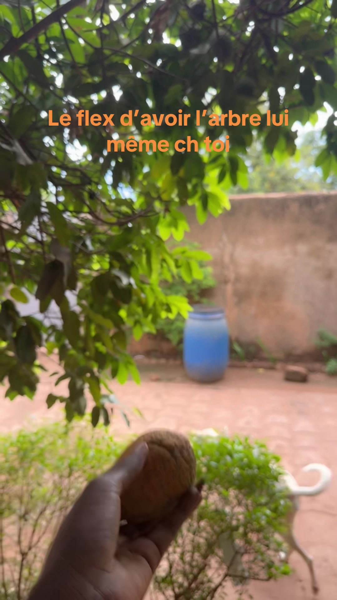 @Isabella l’italienne 💋🇧🇫