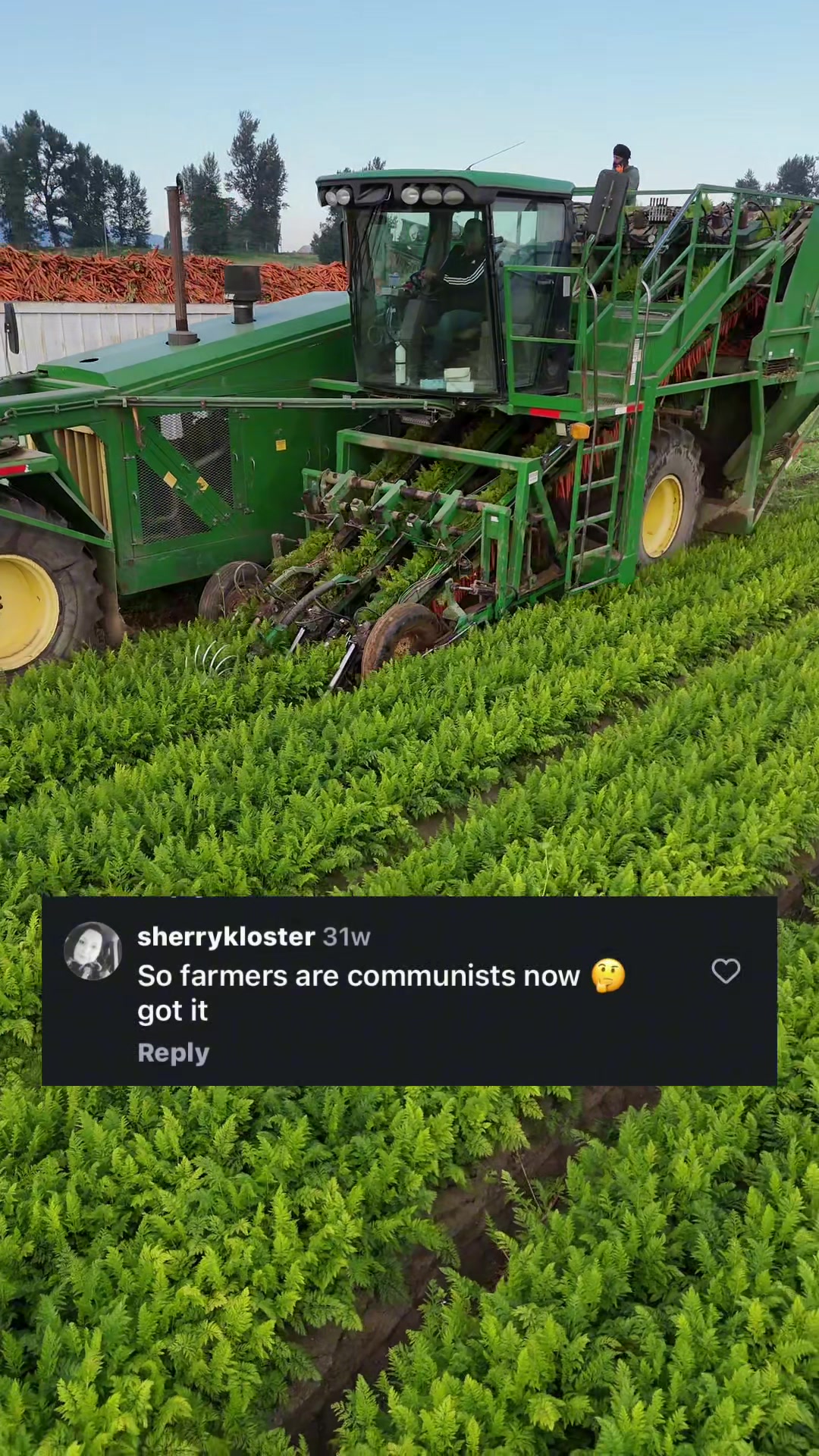 @Potato Ty