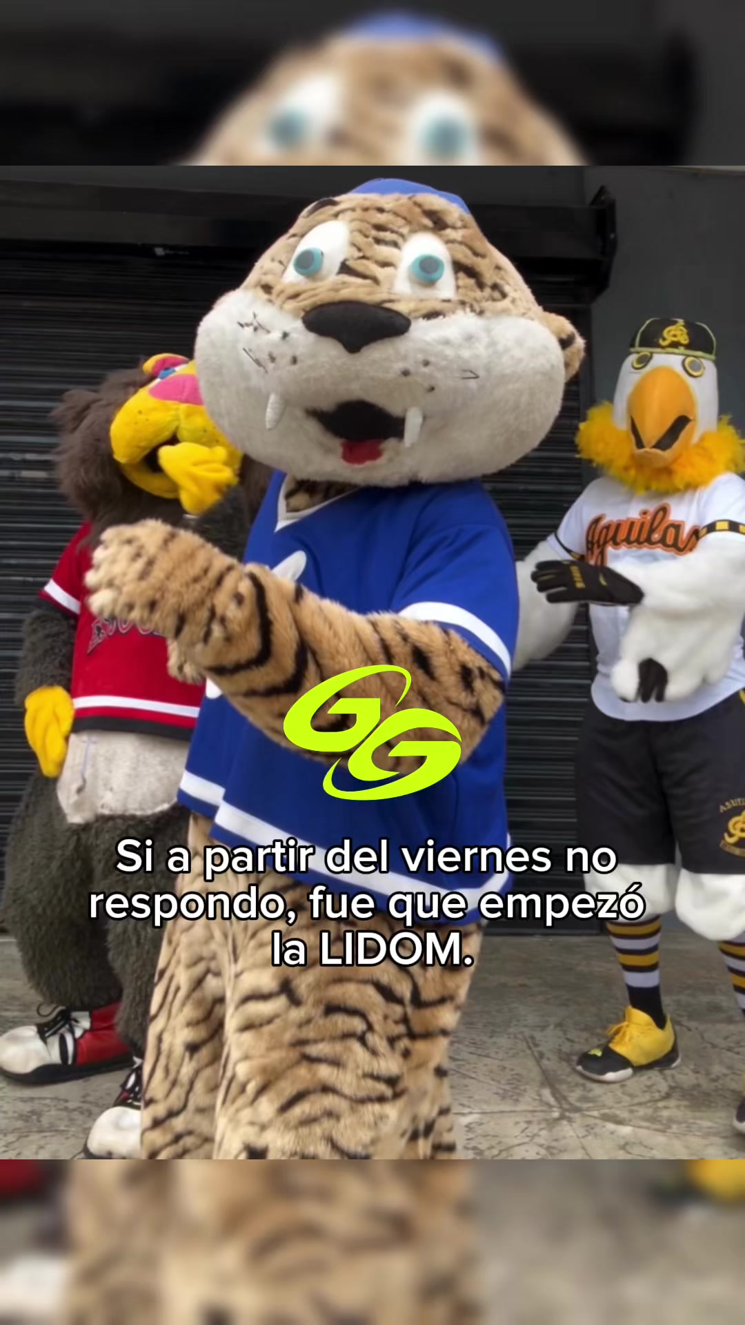 @lidommemes