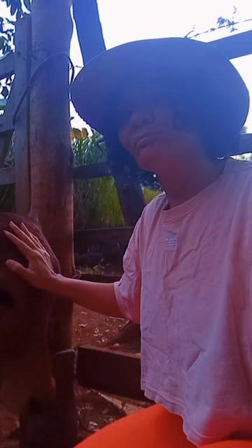 @Lislene Lopes