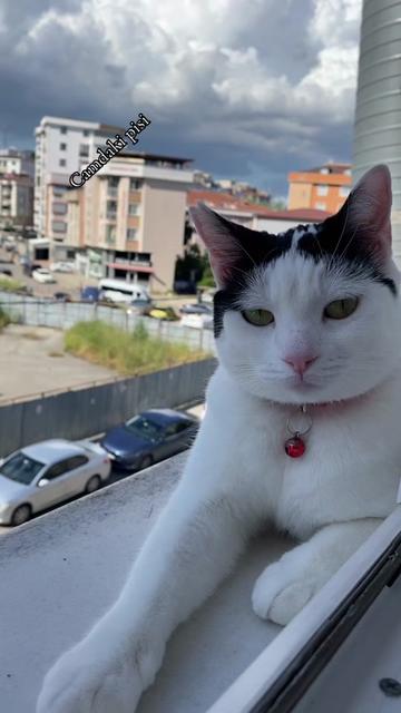 @Bilgen Yılmaz