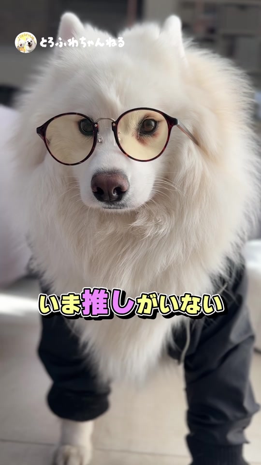 @とろふわ
