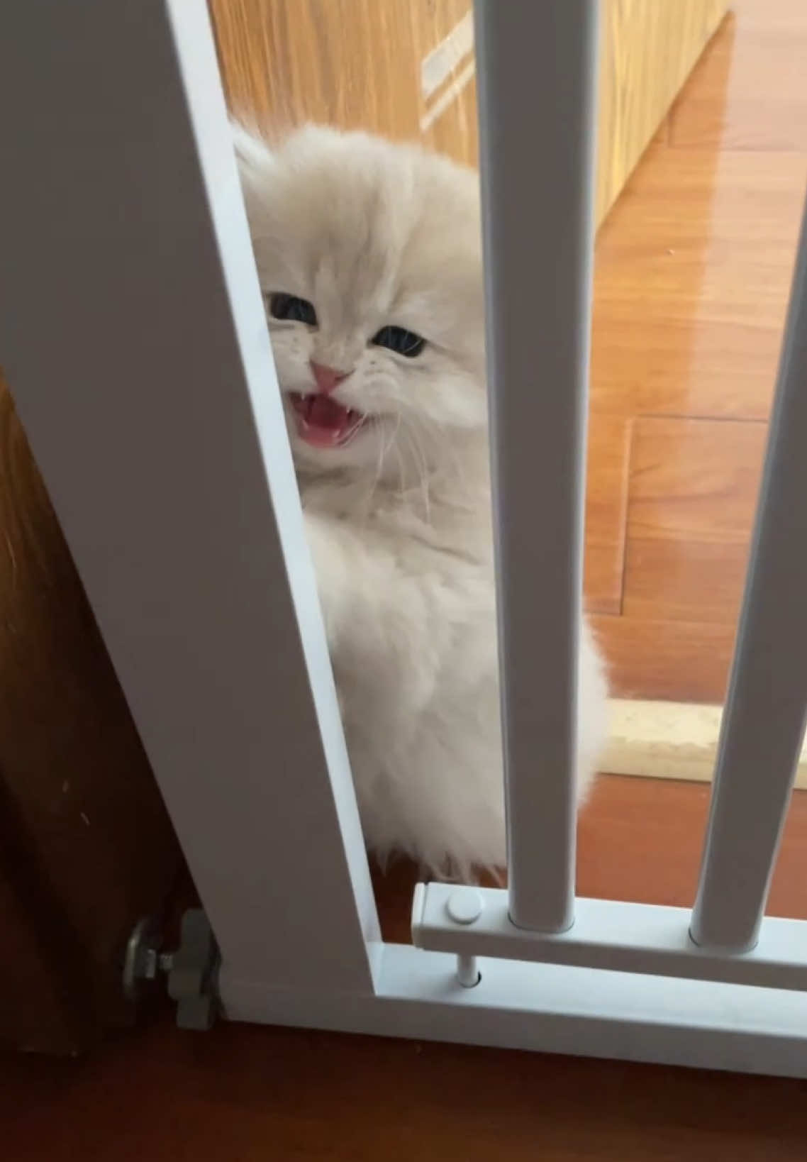 @マイ