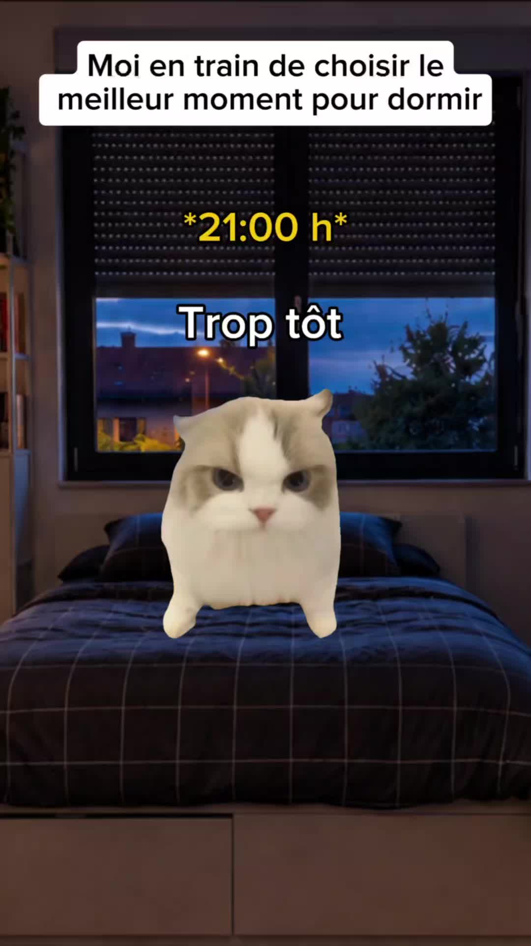 @shorts2chat 😽
