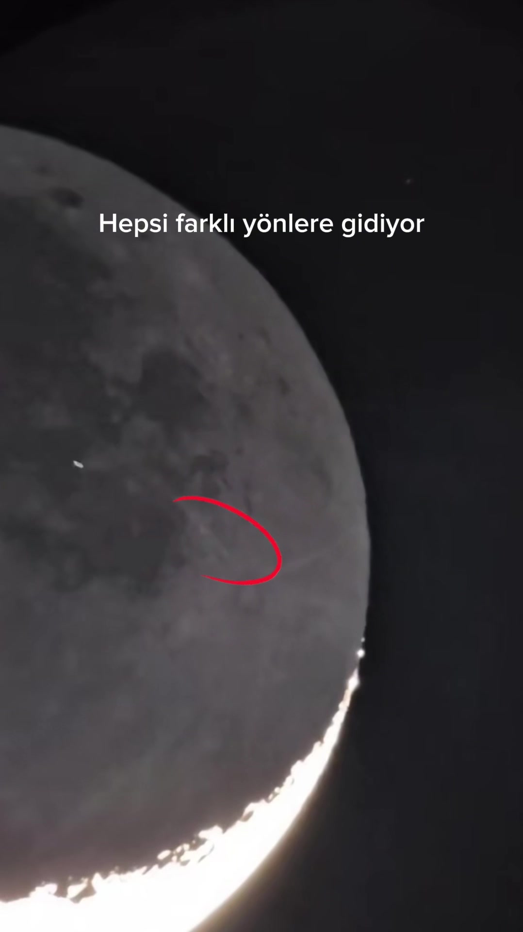 @Ferhat songur