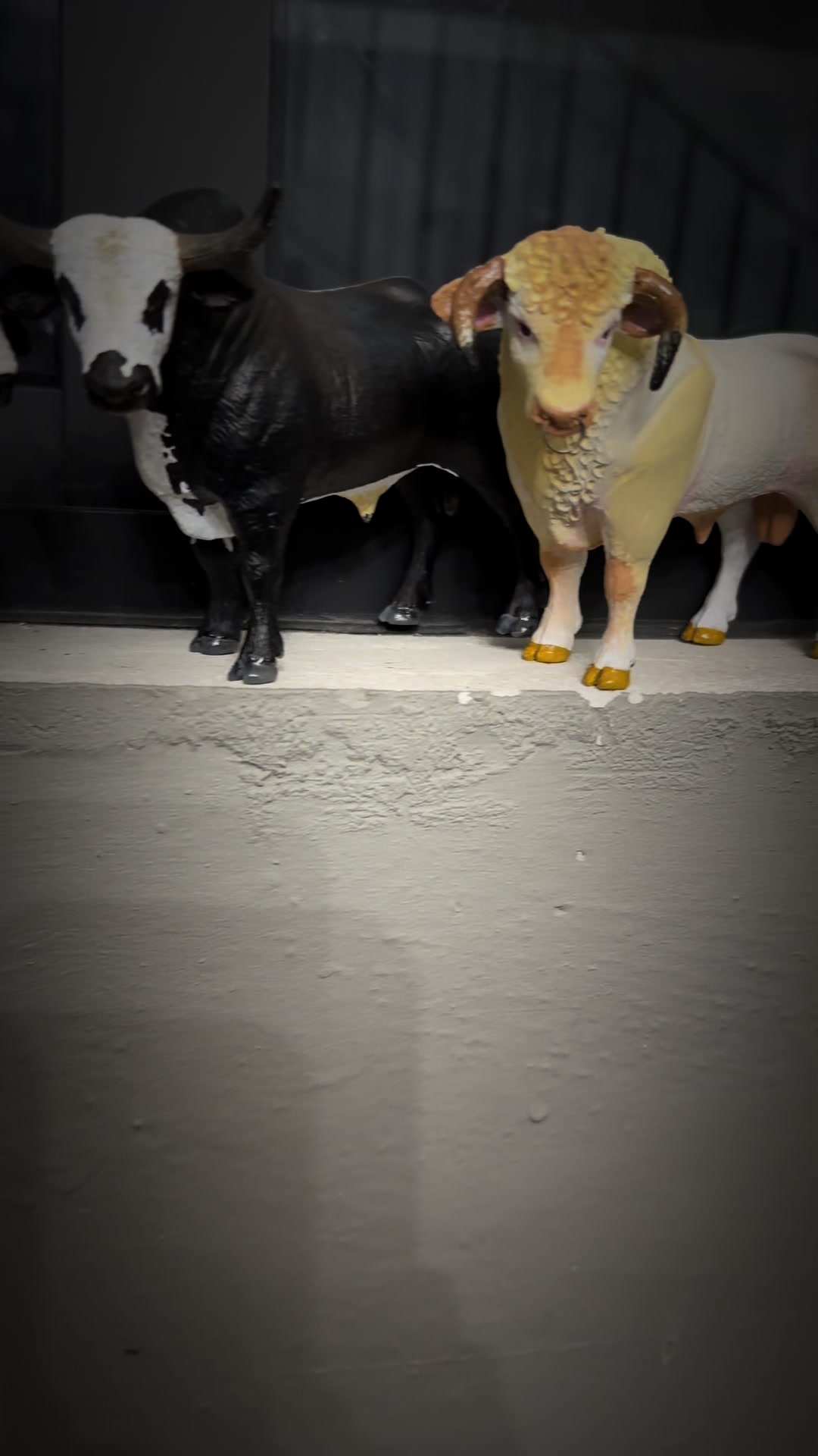 @Charrini toys bull riding