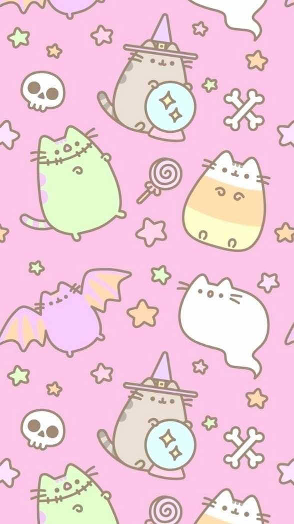 @ᕱ⑅ᕱ𝓡𝓸𝓼𝓪˶o̴̶̷᷄‸o̴̶̷̥᷅˶.ᐟ🐾
