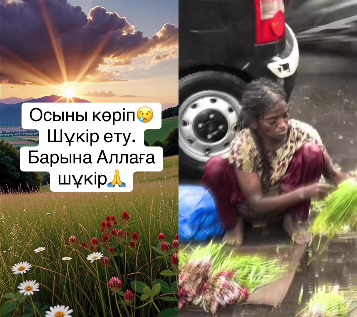 @Жазира
