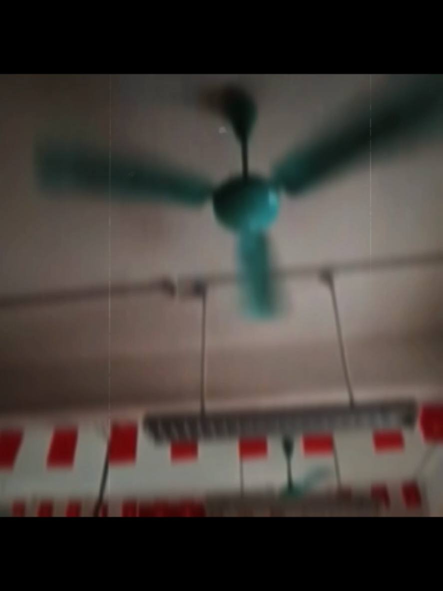 @ceiling fan is vietnam