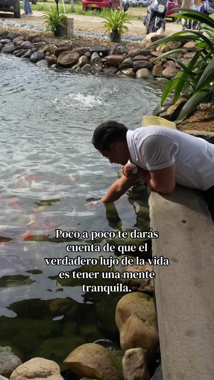@Anibal Camelo