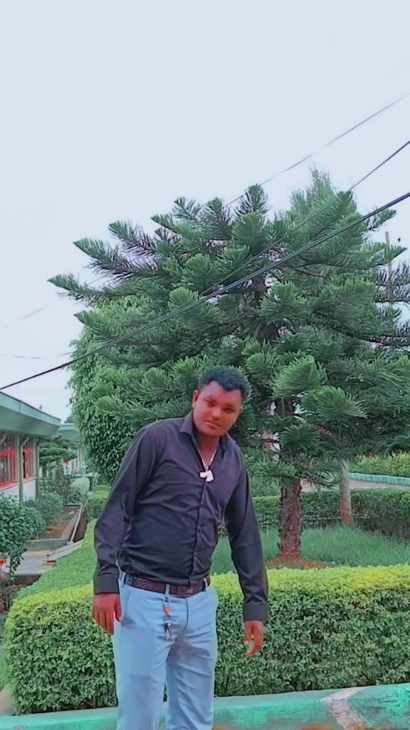 @dinaras ebbisaa