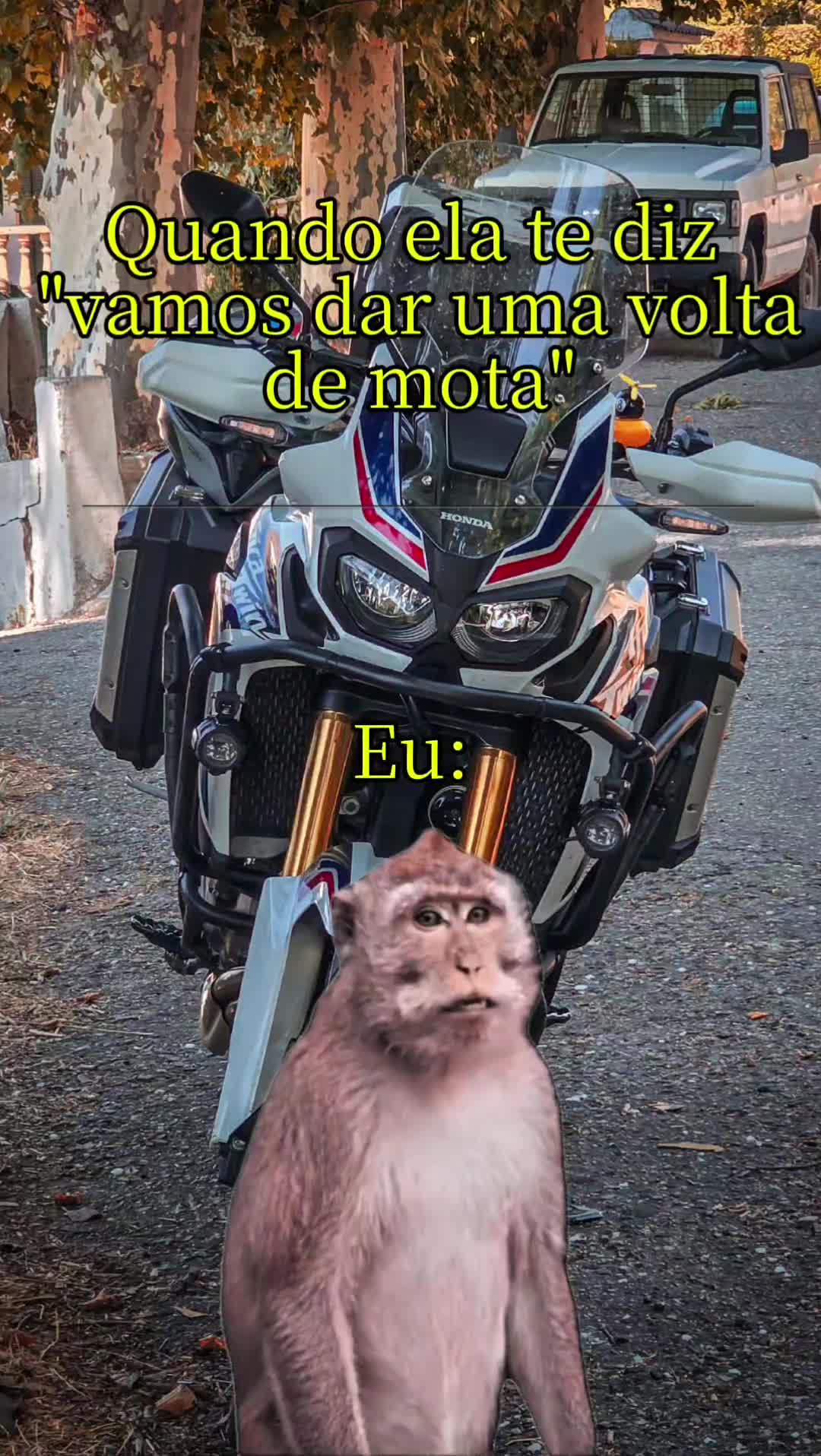 @João Oliveira