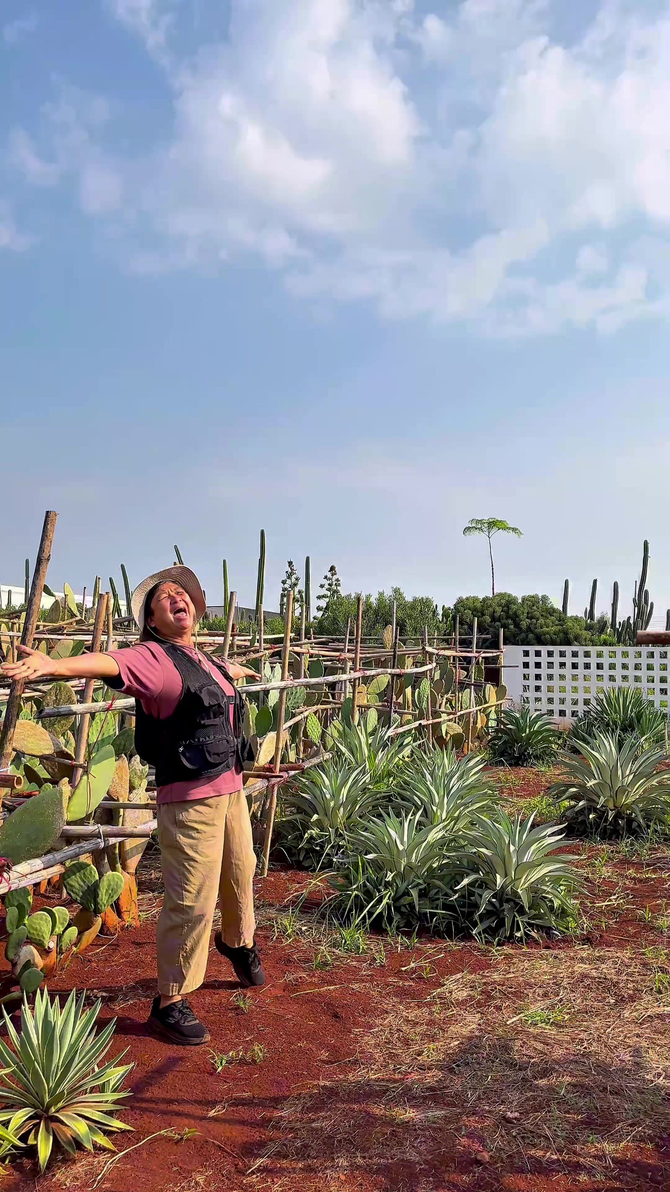 @ไร่วันยังขำ Oneyoungkham farm