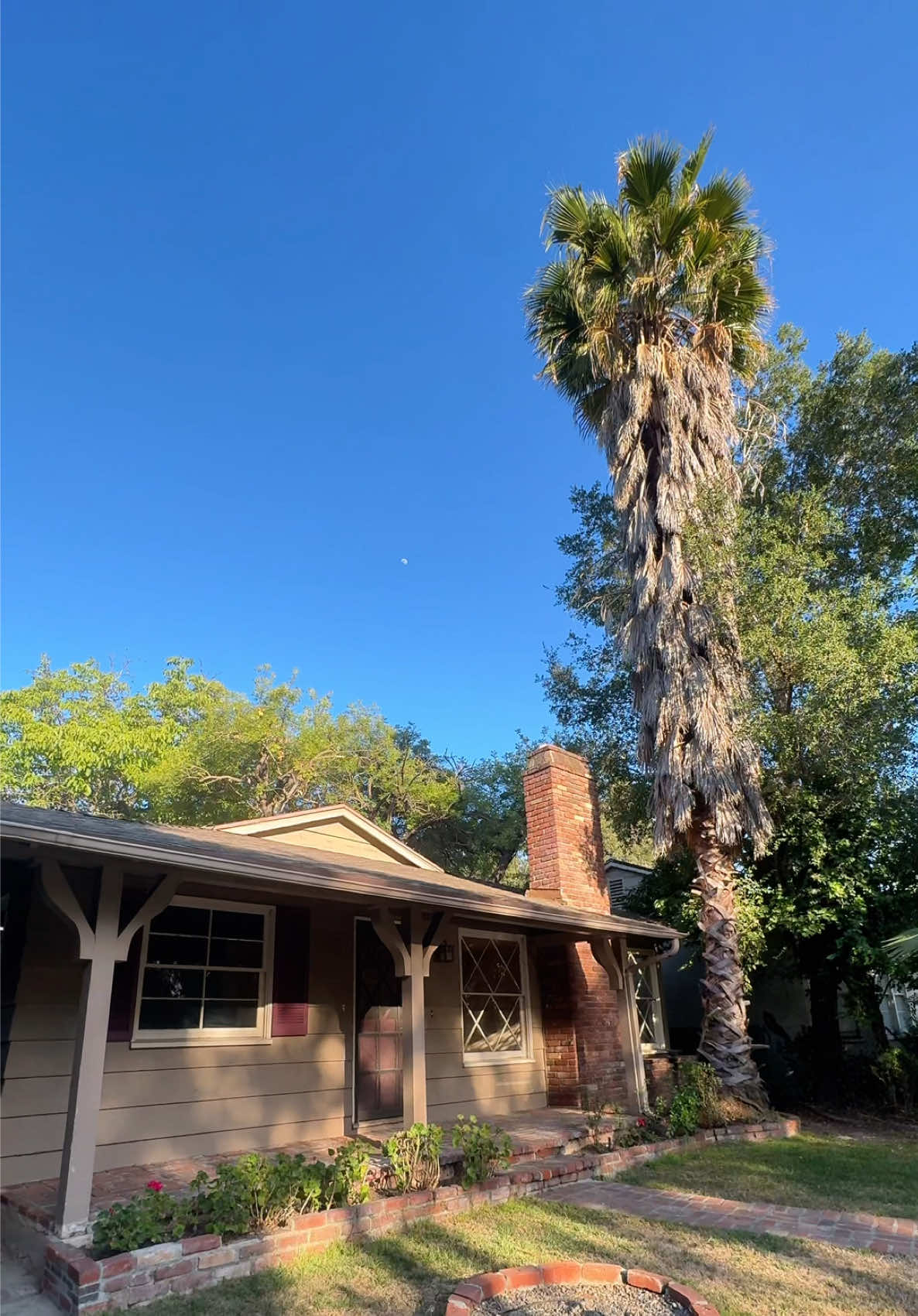 @Emma Grigoryan • REALTOR®