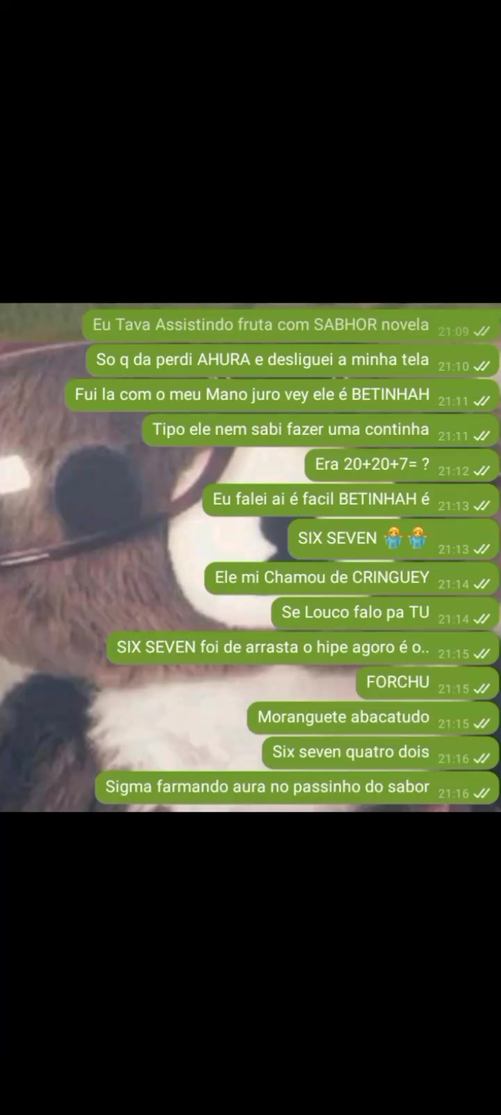@💫Estrela💫