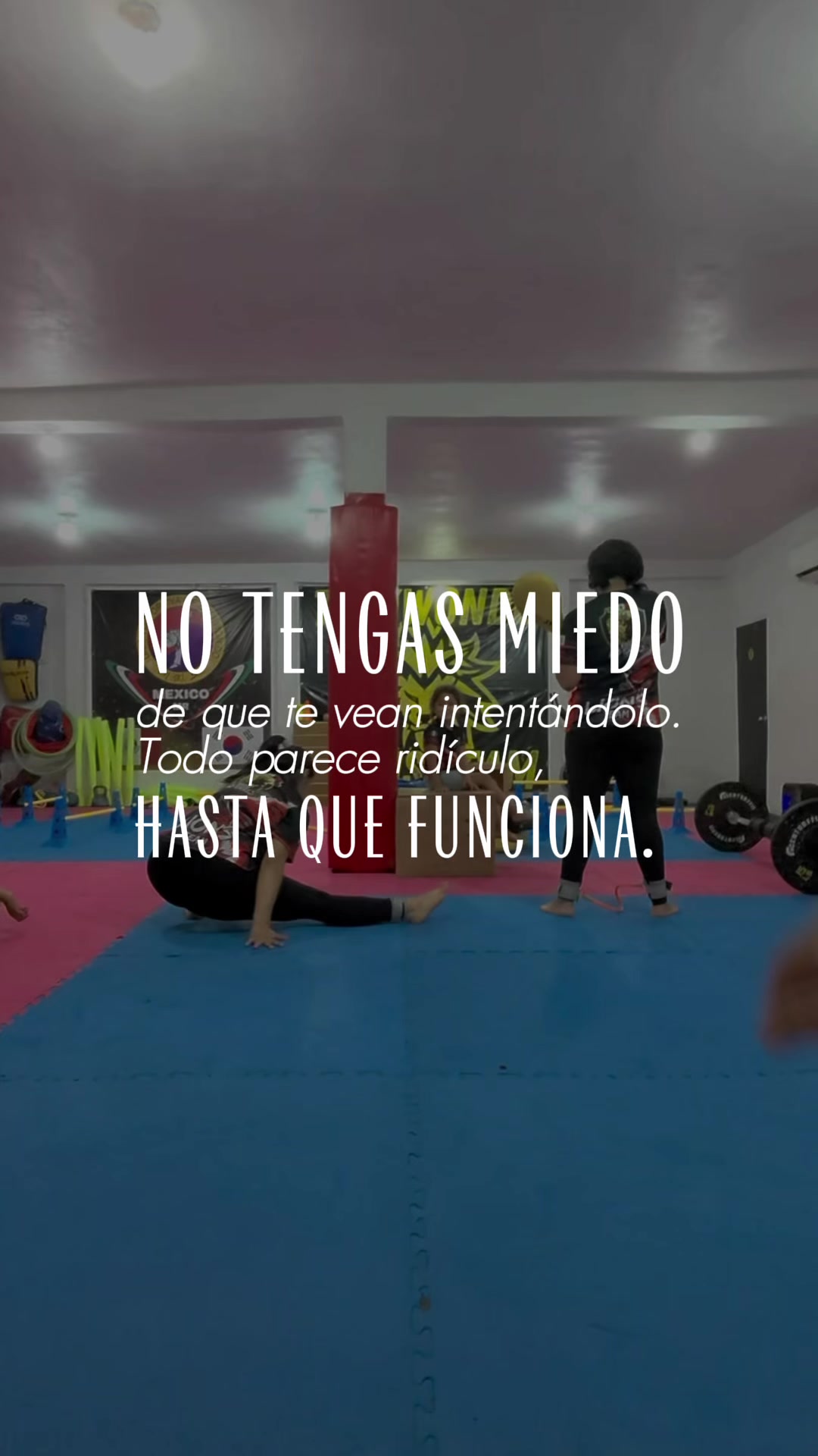 @taekwondolionsteam