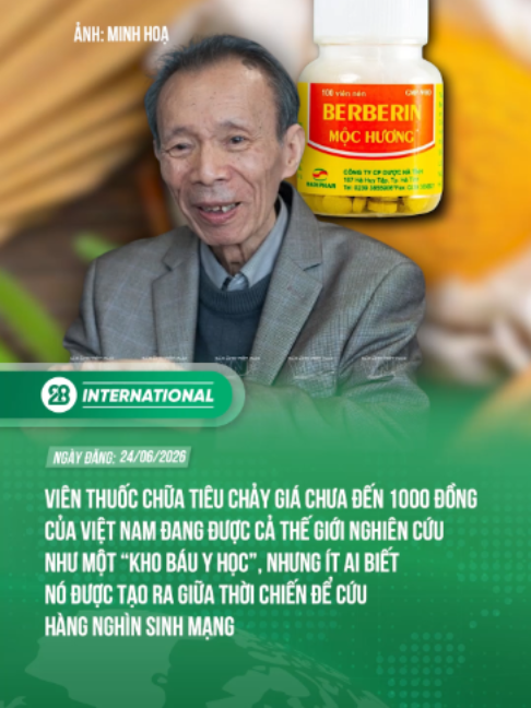 @28 International News