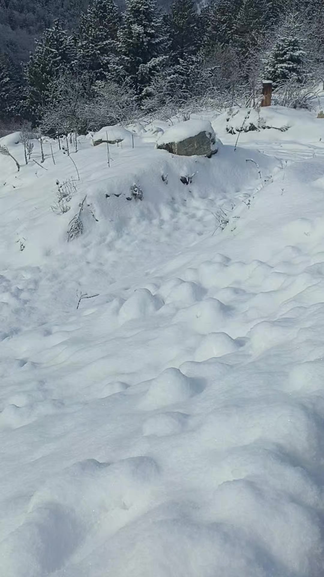 @bursa 16