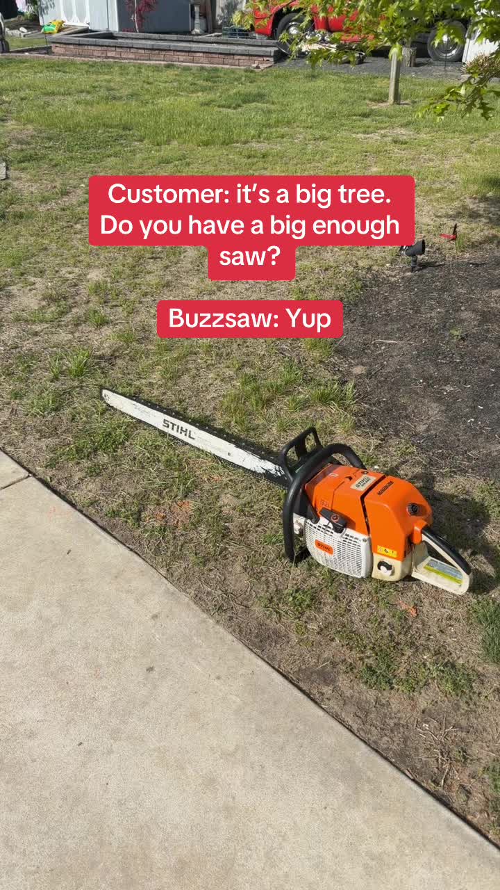 @Buzzsawtrees