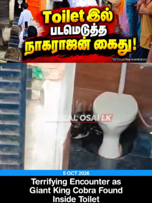 @makkal osai lk