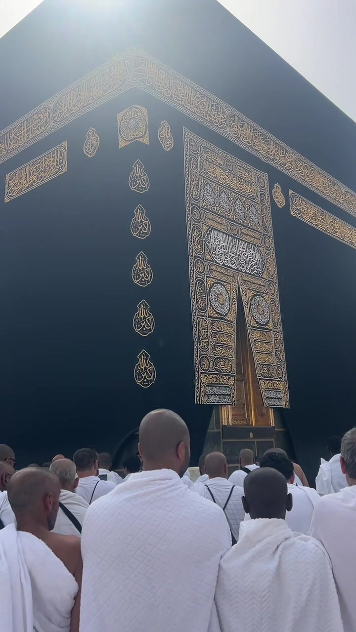 @🕊️ج✨🖤