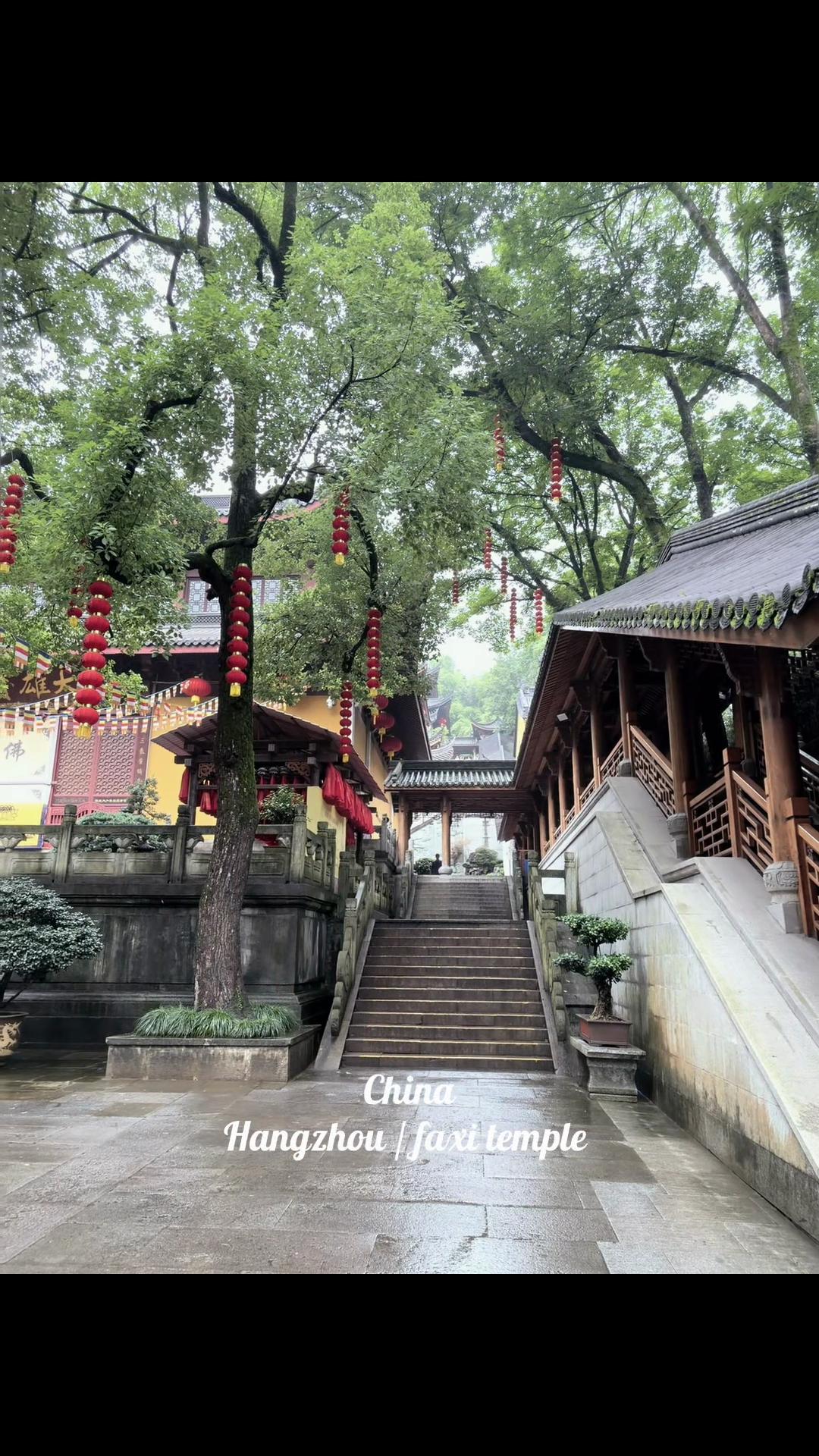 @金丽阳
