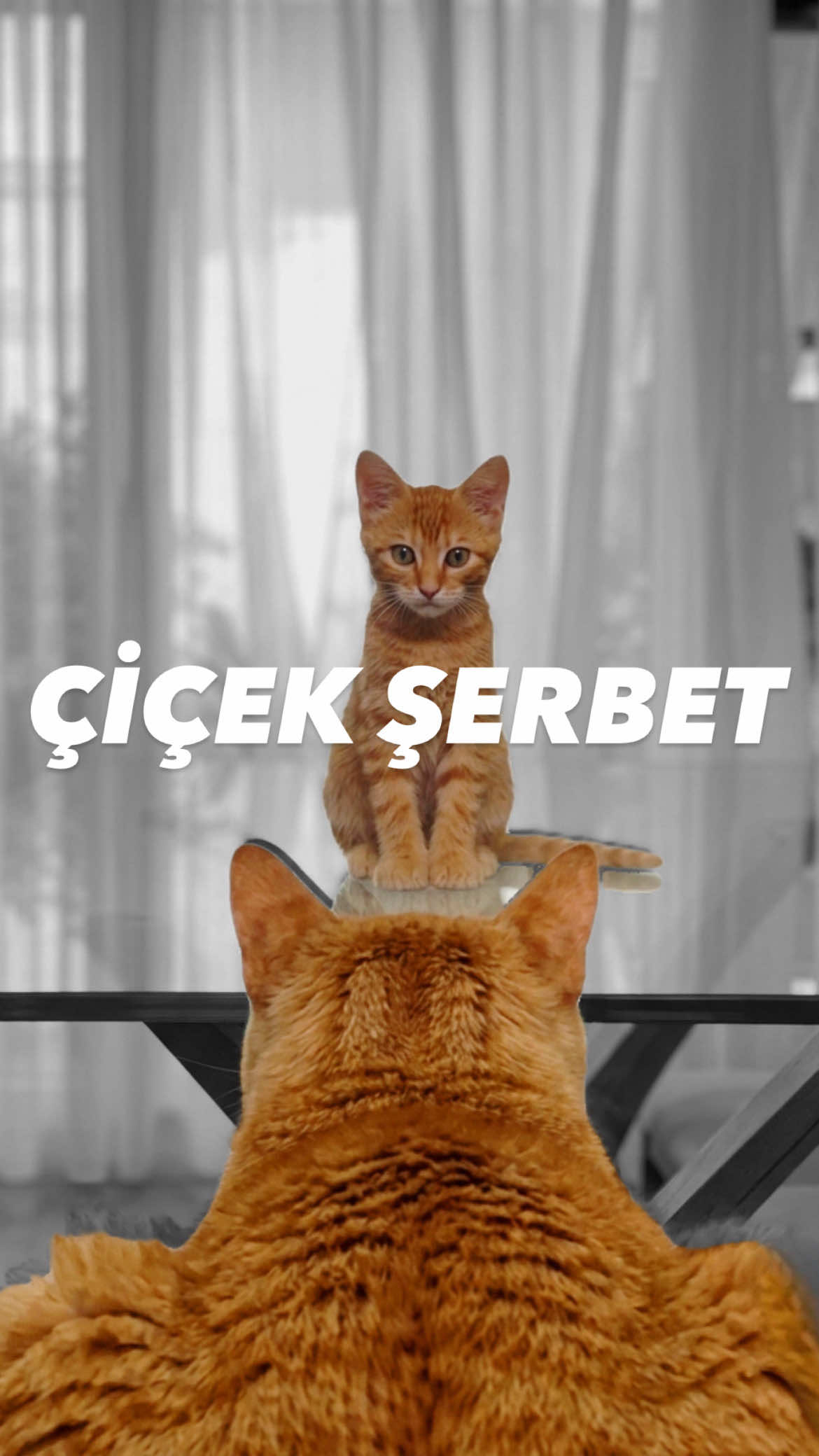 @Emre Şen