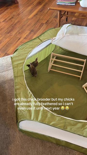 @crow