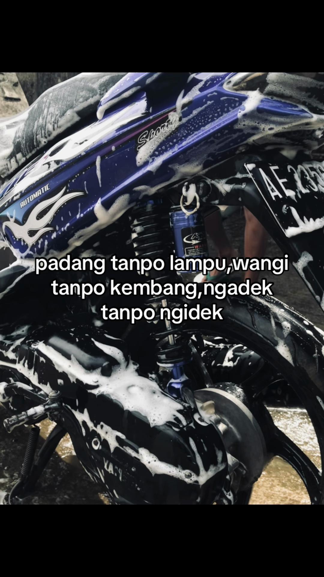 @dla v3