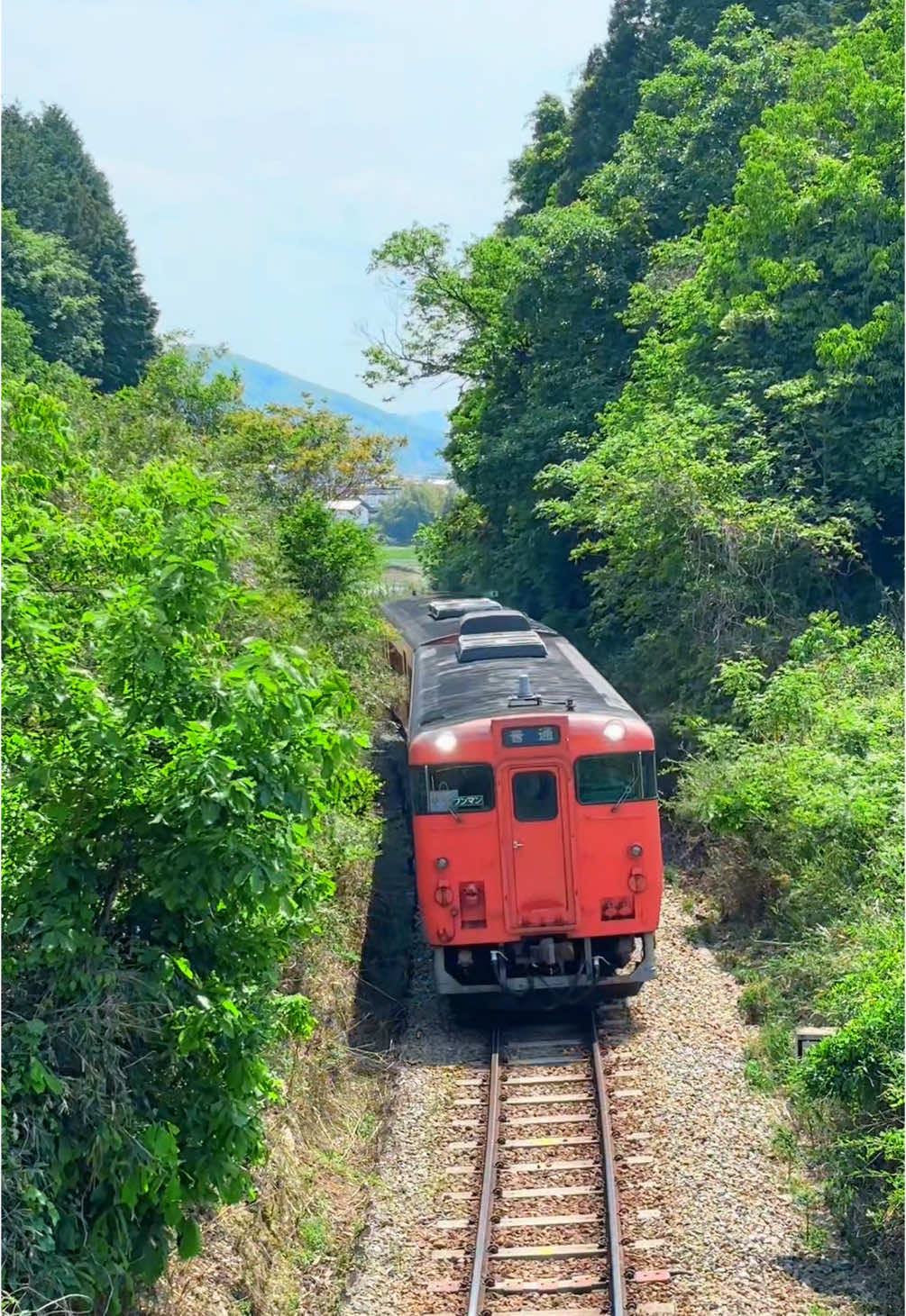 @とらのぽいち