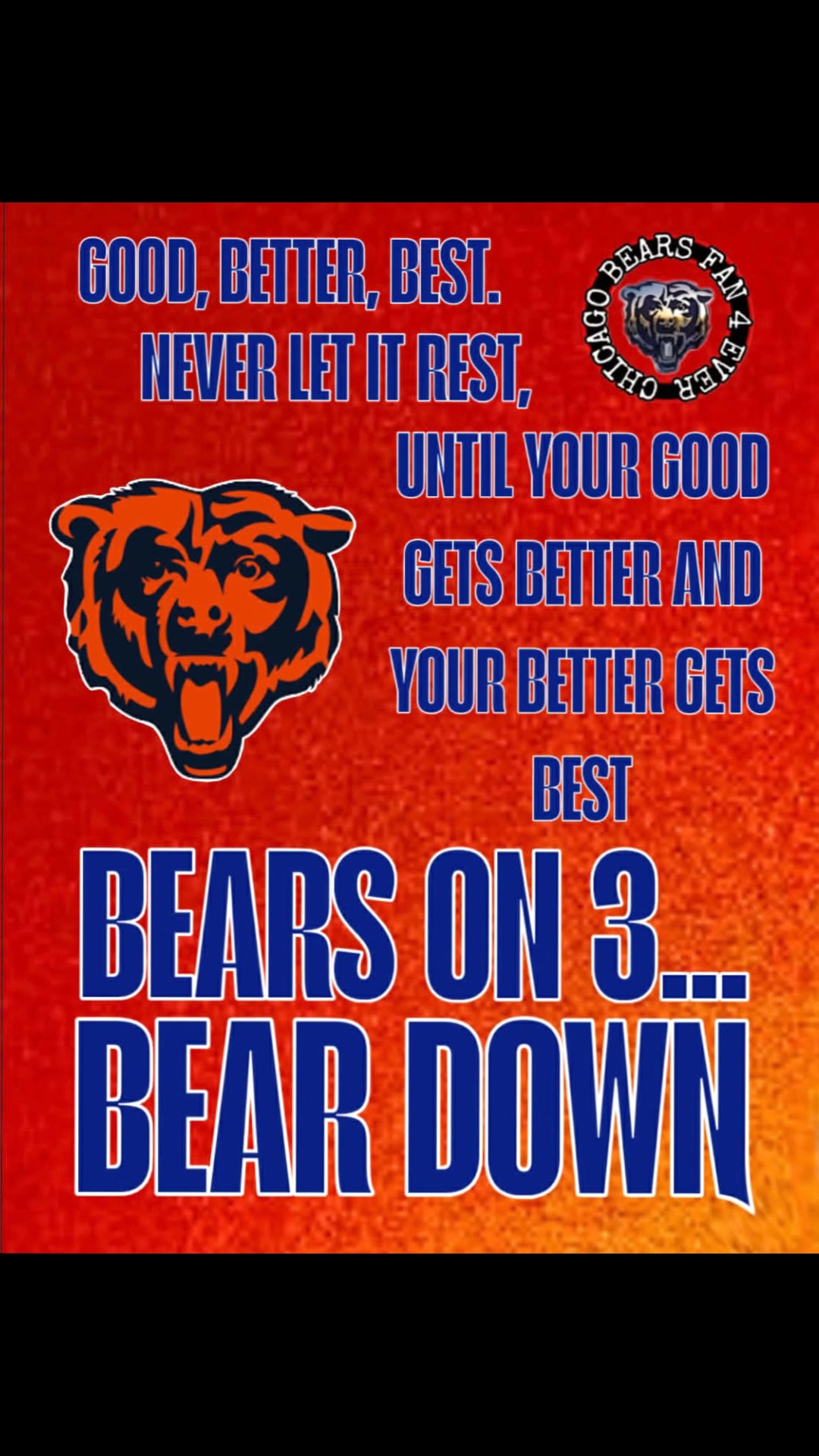 @-=»🐻«ɮɛǟʀֆ ʄǟռ»🏈«=-
