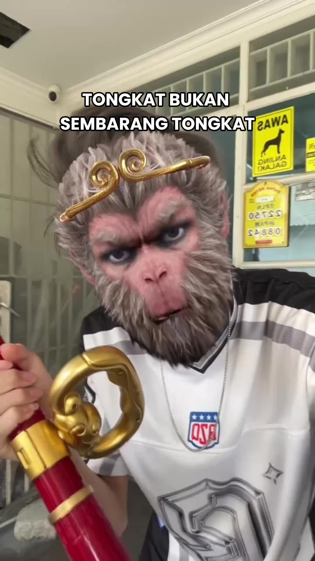 @Mahi Toys