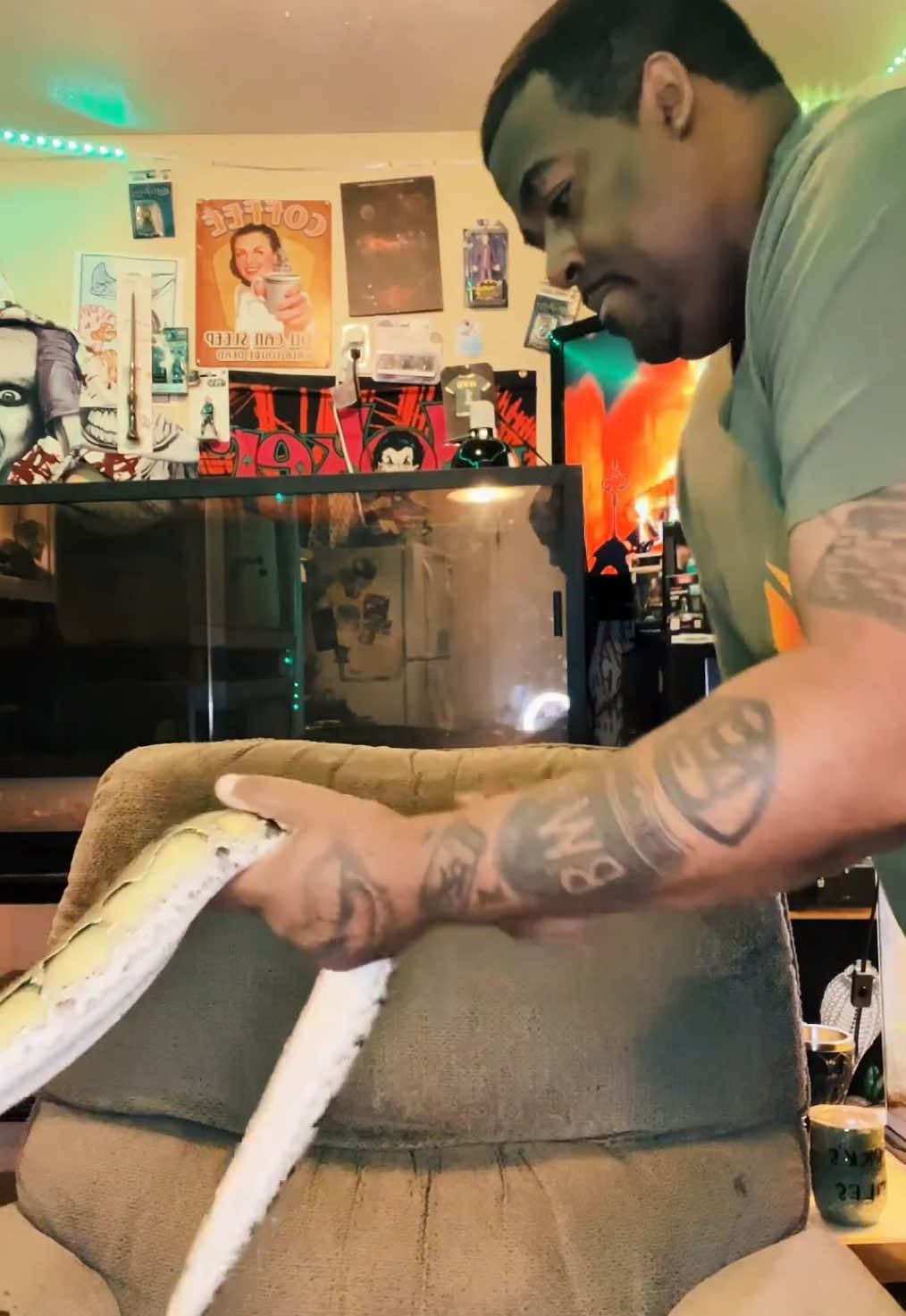@🐍 Derricks Reptiles 🐍