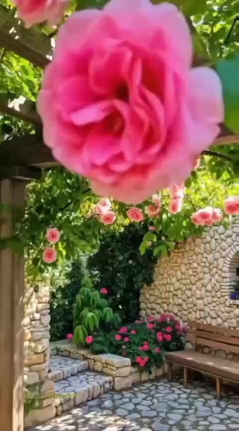 @نسيم الصباح