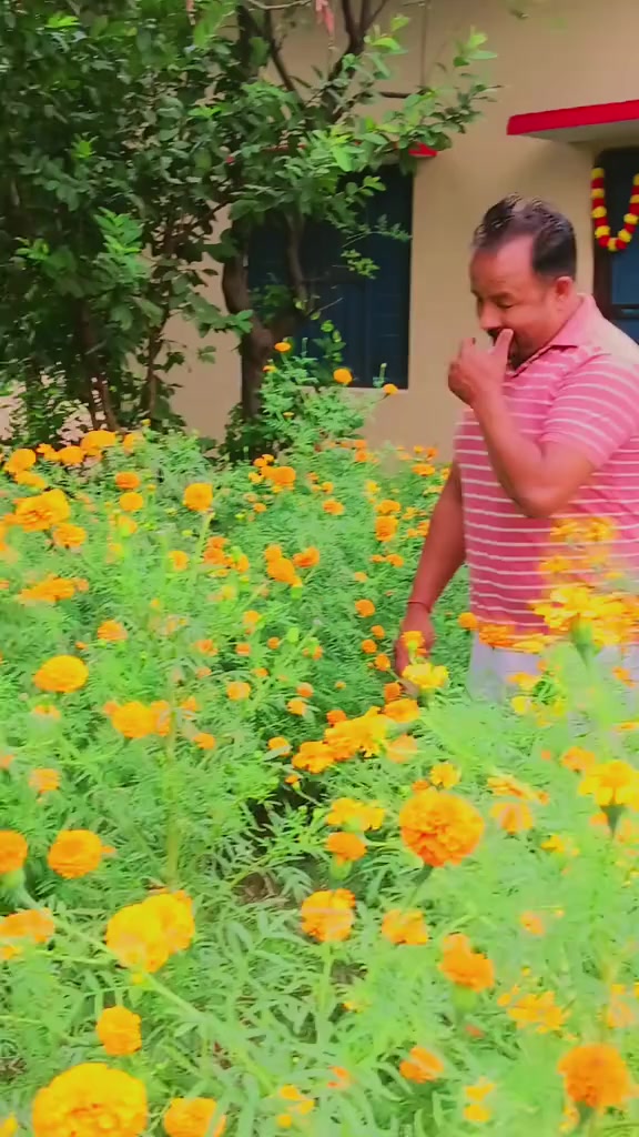 @सुरेश चन्द ठकुरि