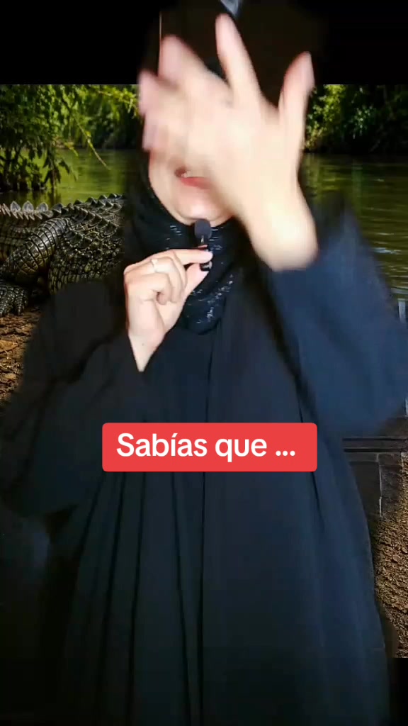 @خادة التاميرانو