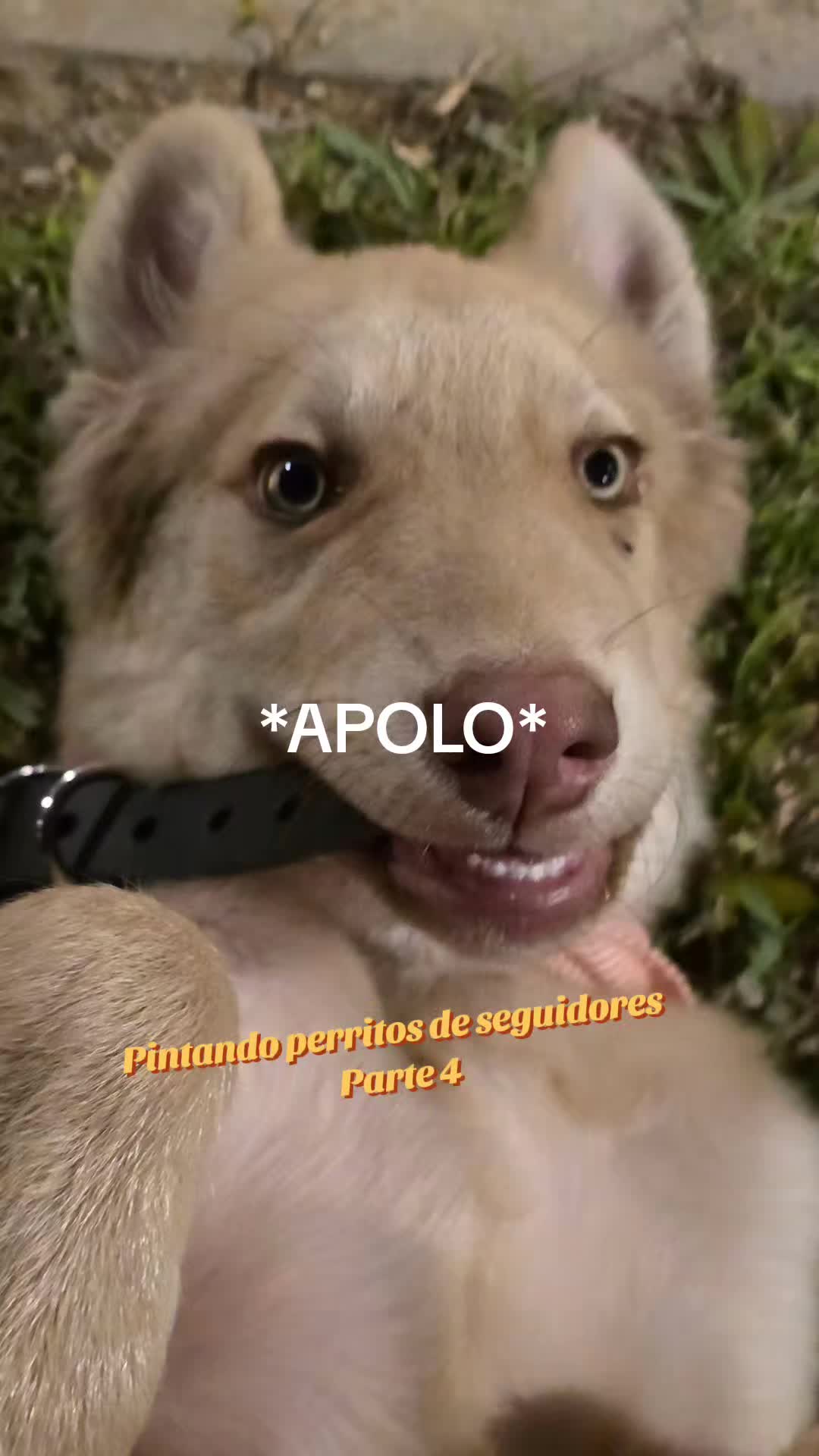 @May May