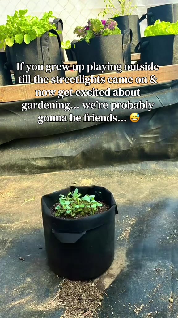 @plant_trappin_apothecary