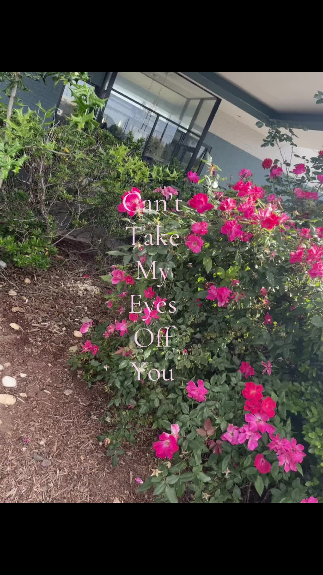 @unicorn676741