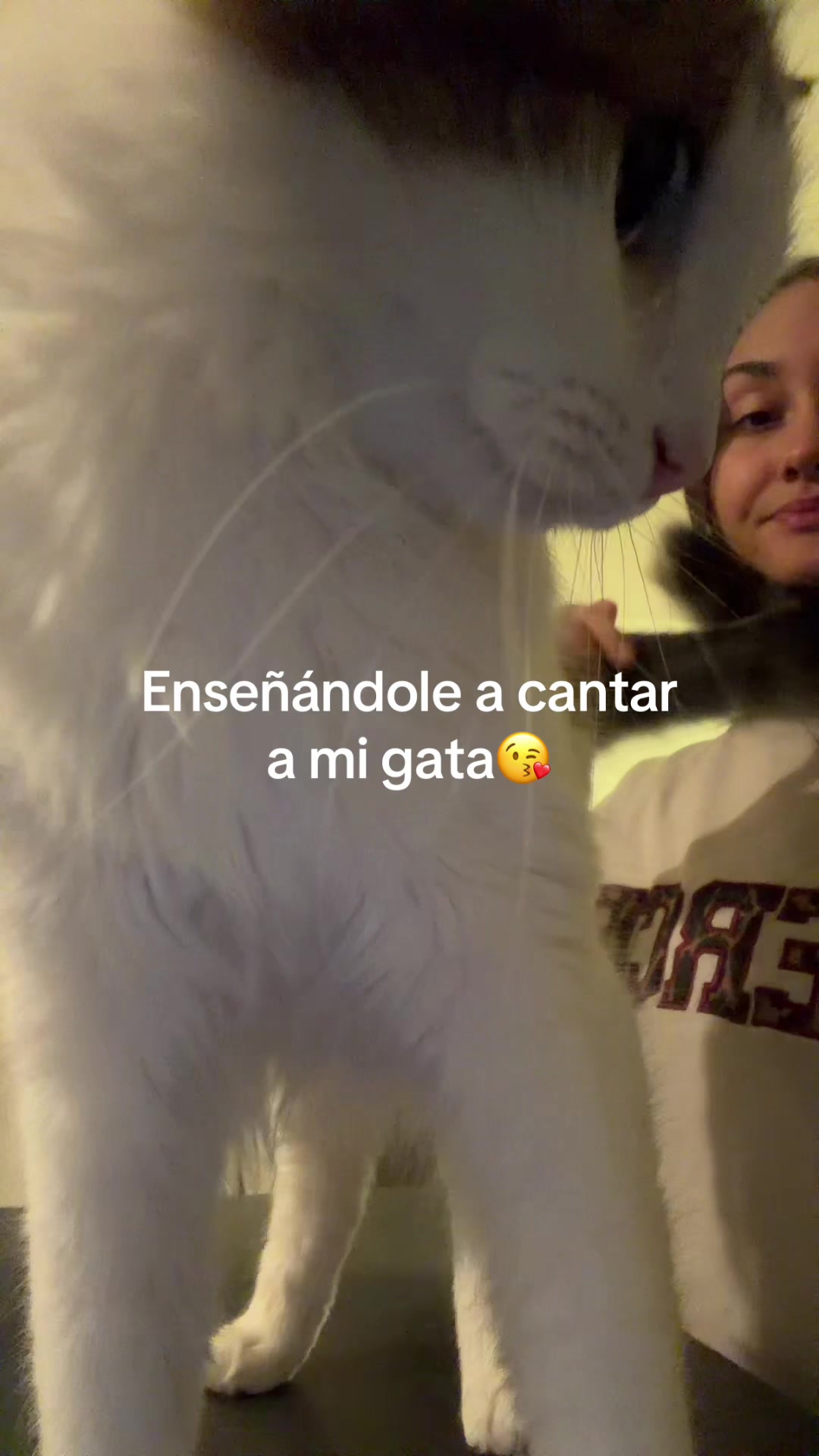 @Flor Pusineri