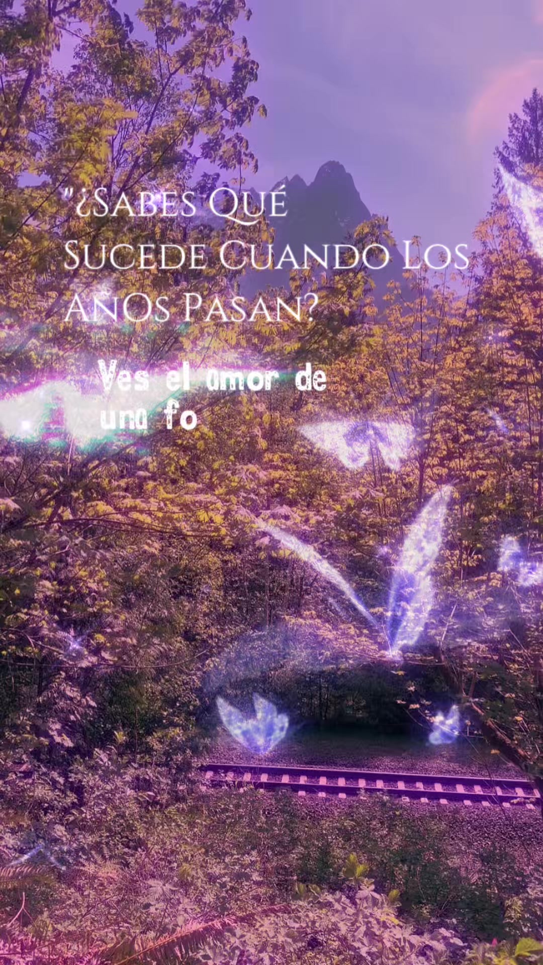 @@𝓂𝒾𝓇𝒾𝒶𝓂𝓇💙𝒿𝒶𝓈𝟪𝟥𝟤