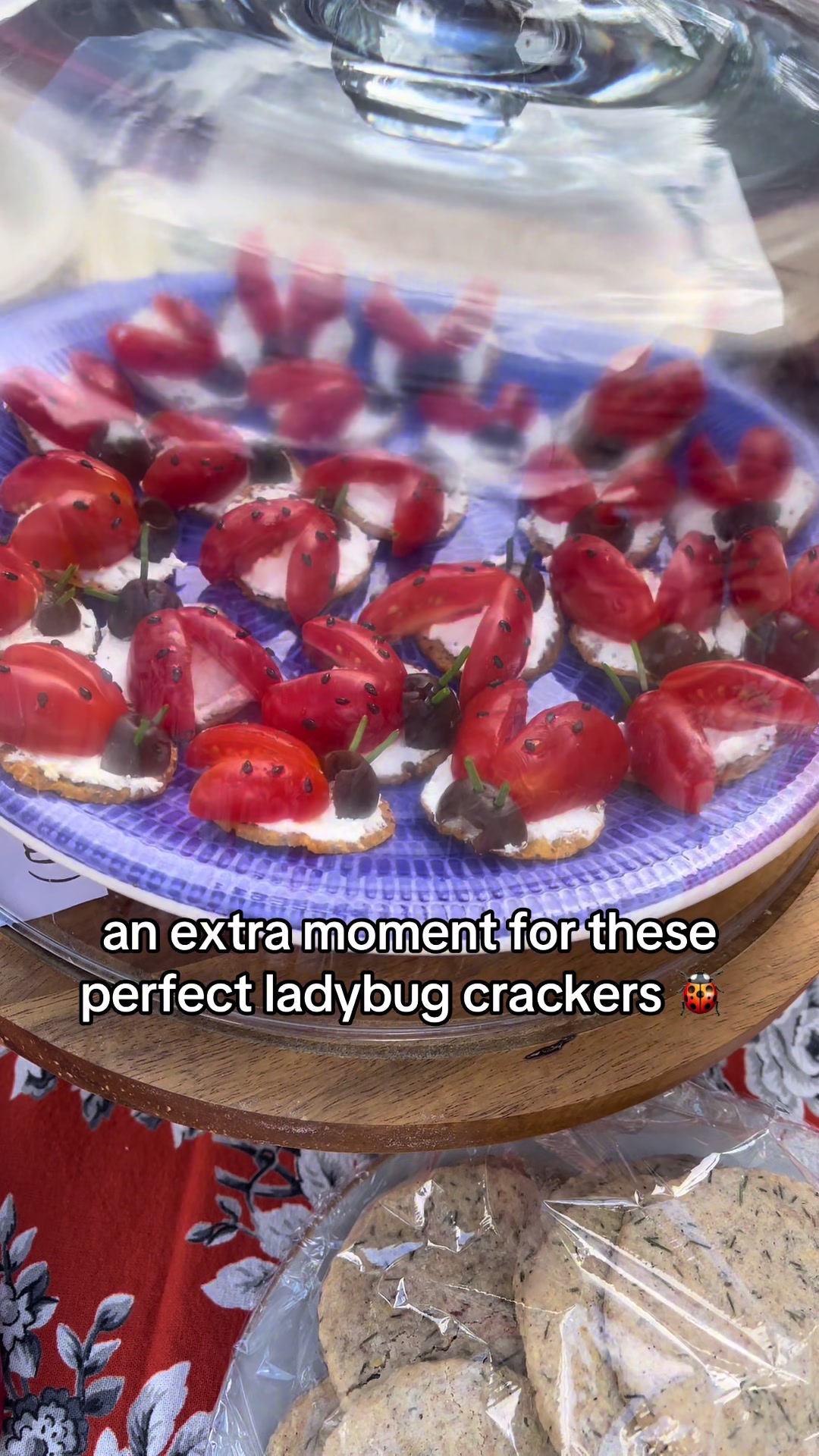 @Anika Linden
