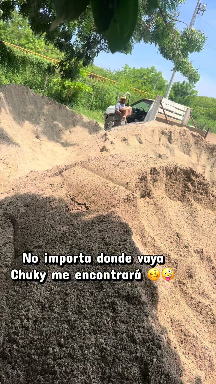@alejandropera912