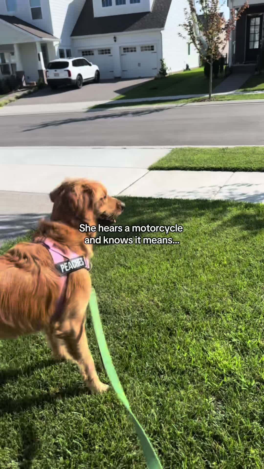 @kkmoto_cc