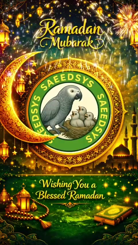 @saeedsys