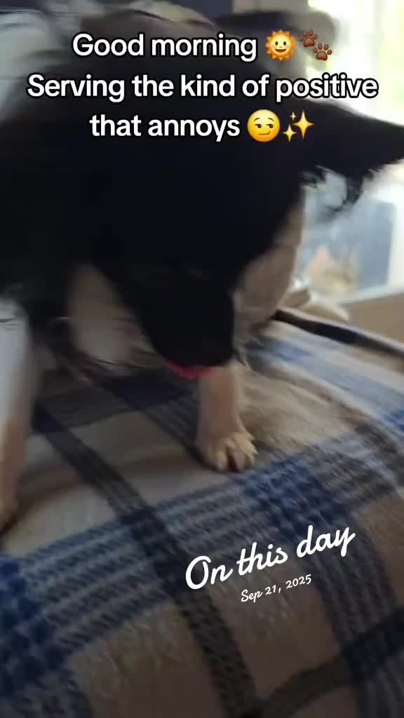 @TheLittleLunaBean