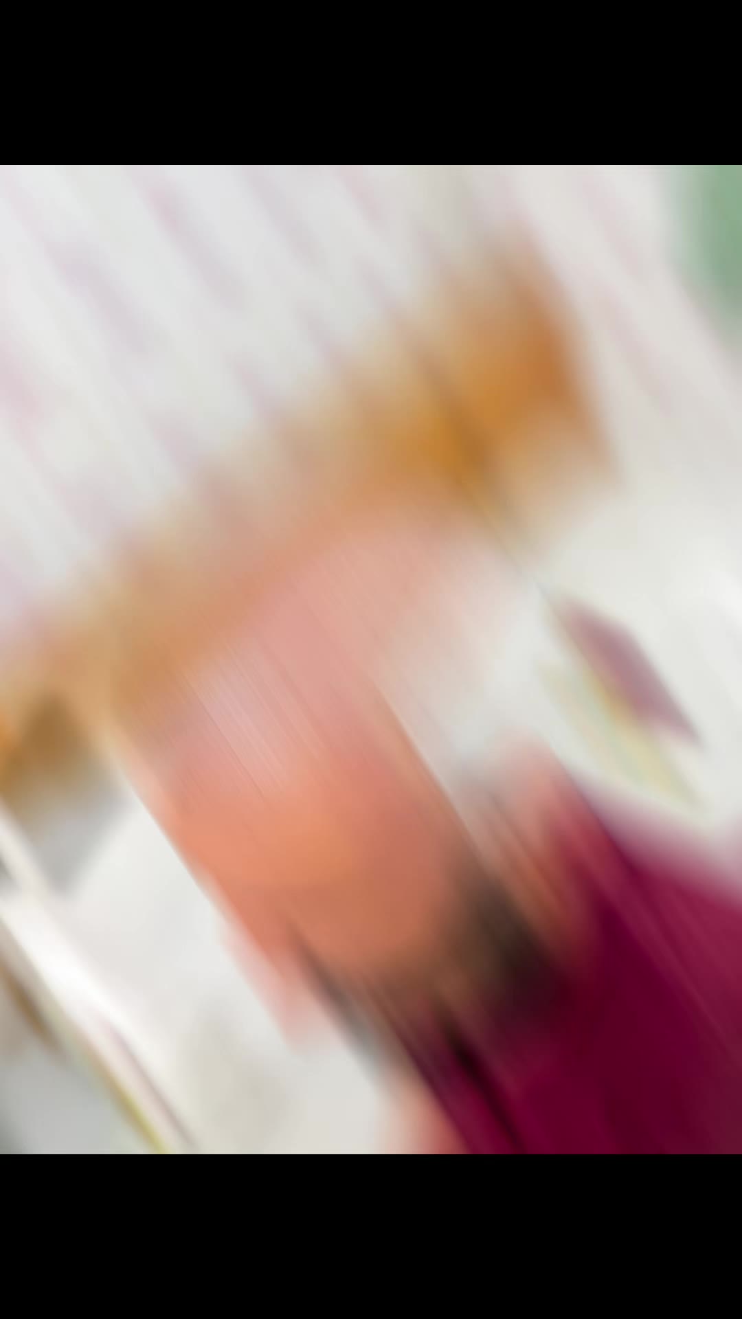 @𝕊𝔸𝕀𝔻𝕌ℝ