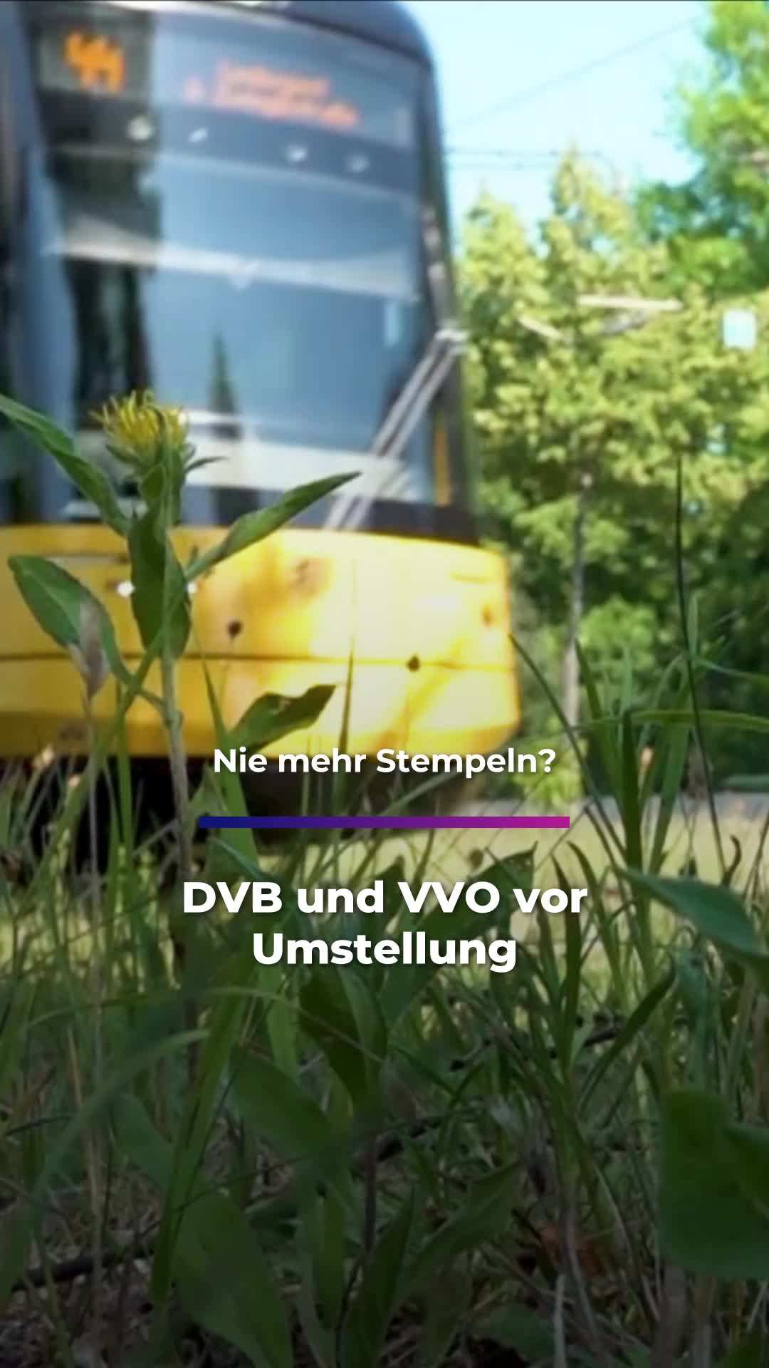 @Sachsen Fernsehen