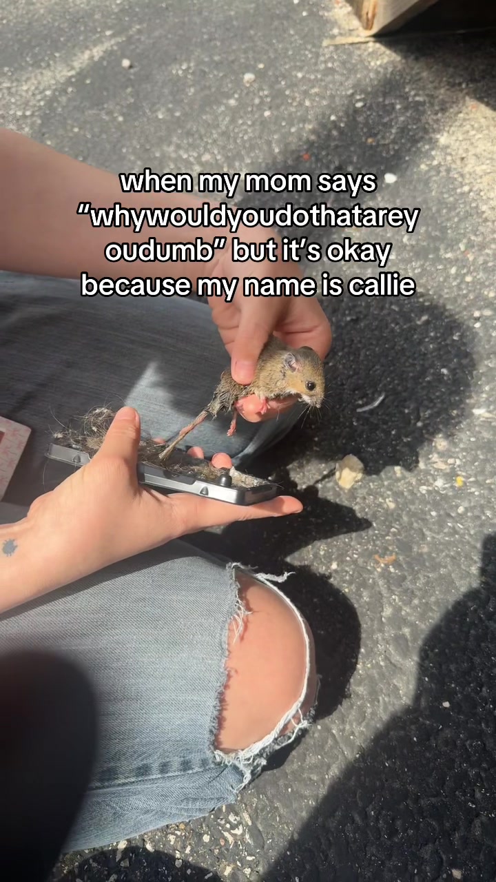 @Callie_laine